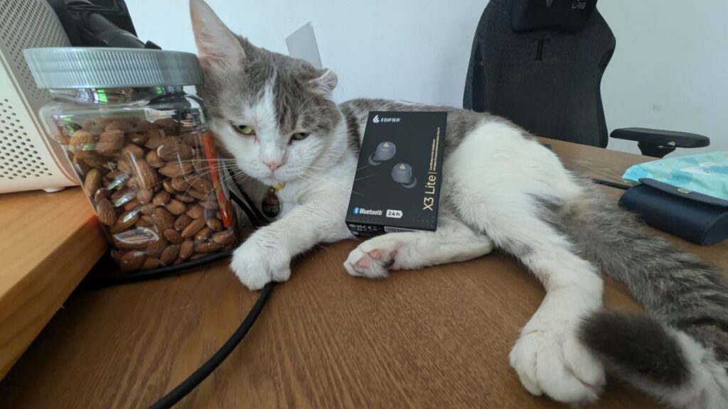 Cat-approved the Edifier X3 Lite earbuds are a great budget-friendly option